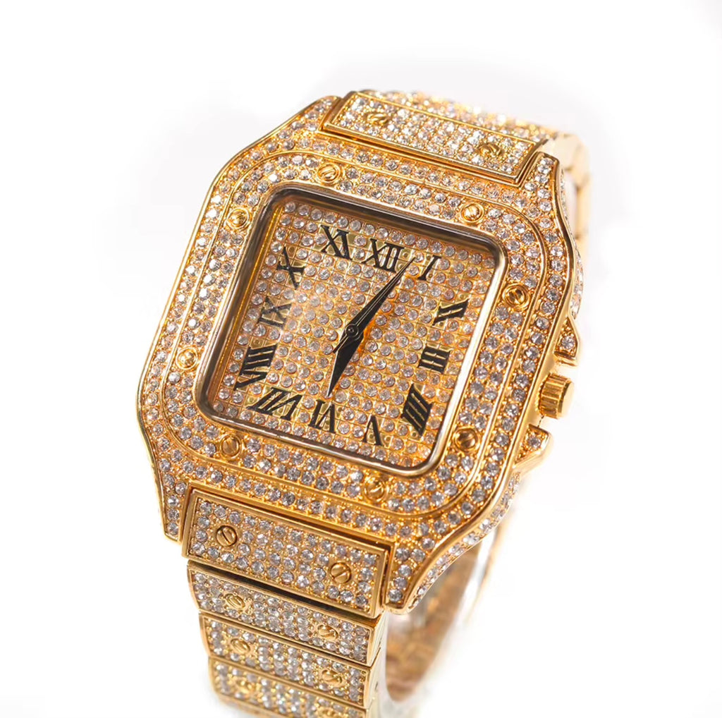 Icy Luxury Watch